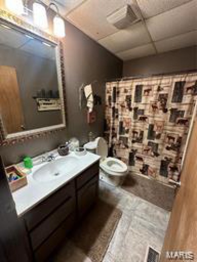 Bathroom featuring a paneled ceiling, vanity, toilet, and a shower with curtain