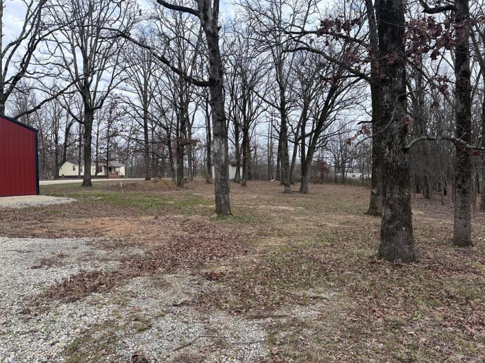 17710 Wayne Route D, Wappapello, Missouri 63966, ,Land,For Sale,Wayne Route D,MAR25000712