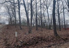 0 Lot 84 Mallard Road, Middlebrook, Missouri 63656, ,Land,For Sale,Lot 84 Mallard,MAR25000866