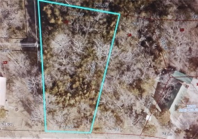 1321 Rue Celeste, Bonne Terre, Missouri 63628, ,Land,For Sale,Rue Celeste,MAR25000854