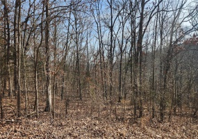 9420 Opal, French Village, Missouri 63036, ,Land,For Sale,Opal,MAR25001279