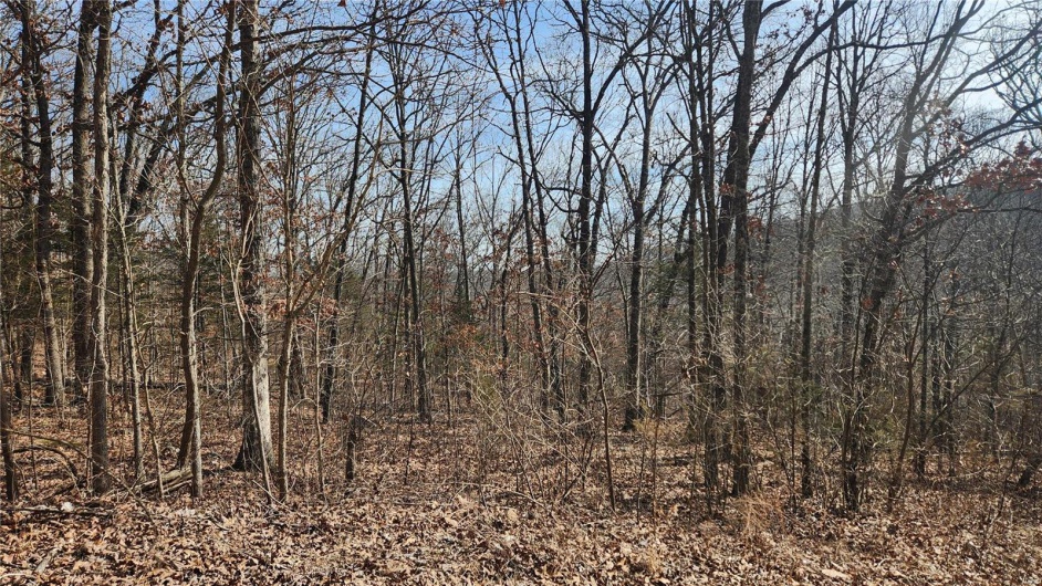 View of landscape