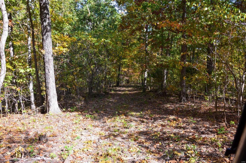 0 Holmes Road, St Mary, Missouri 63673, ,Farm,For Sale,Holmes,MAR25001487