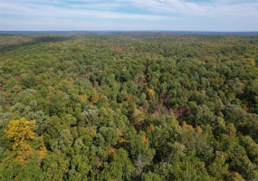 0 Holmes Road, St Mary, Missouri 63673, ,Farm,For Sale,Holmes,MAR25001487