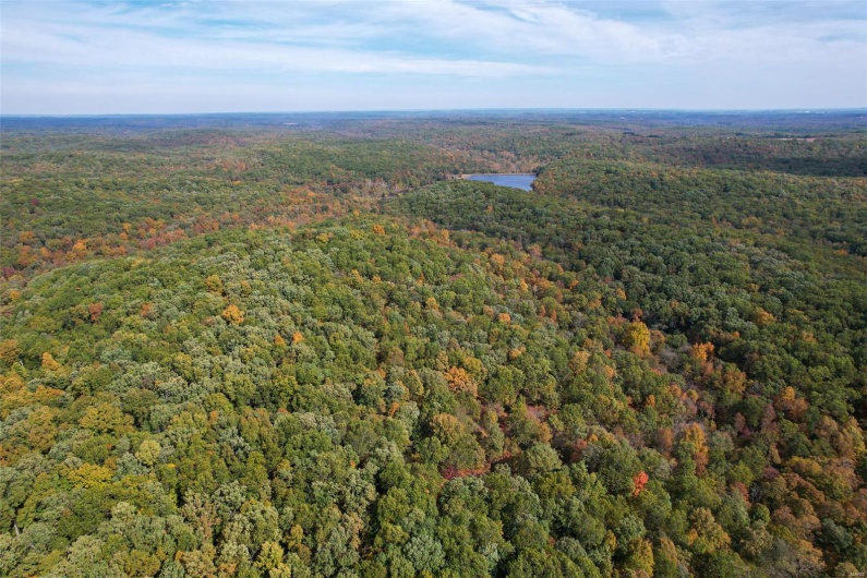 0 Holmes Road, St Mary, Missouri 63673, ,Farm,For Sale,Holmes,MAR25001487