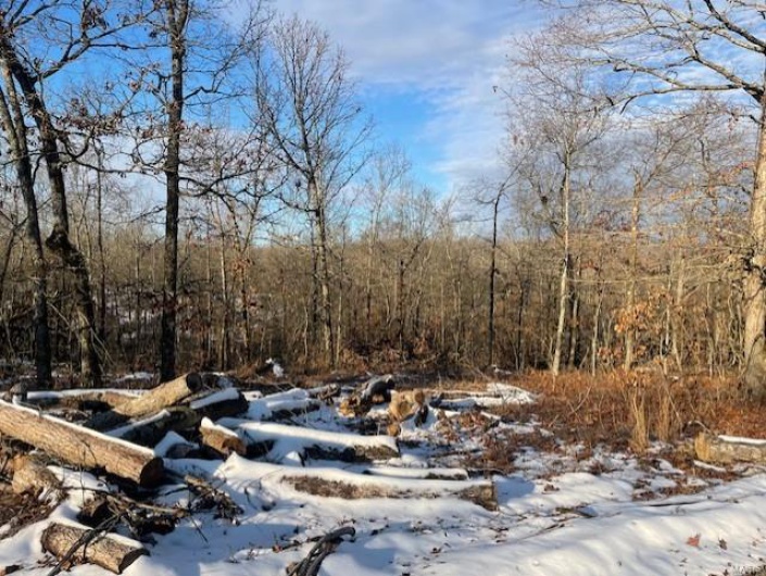 View of snowy landscape