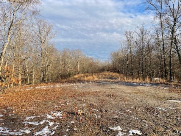 View of local wilderness