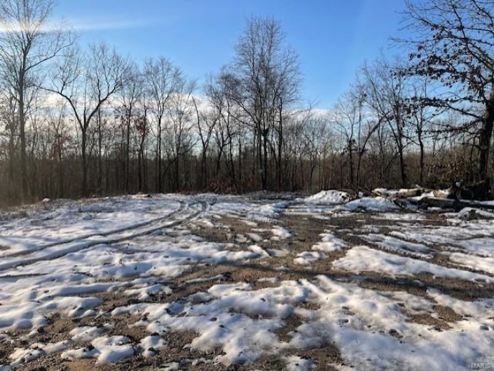 View of snowy landscape