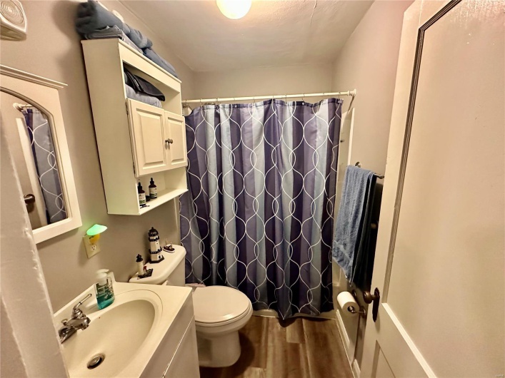 Bathroom with wood-type flooring, vanity, and toilet