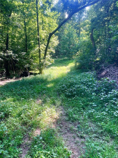 236 Cypress Lake Road, Burfordville, Missouri 63739, ,Farm,For Sale,Cypress Lake,MAR25002268