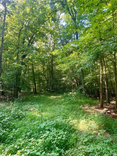 236 Cypress Lake Road, Burfordville, Missouri 63739, ,Farm,For Sale,Cypress Lake,MAR25002268
