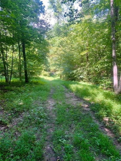 236 Cypress Lake Road, Burfordville, Missouri 63739, ,Farm,For Sale,Cypress Lake,MAR25002268