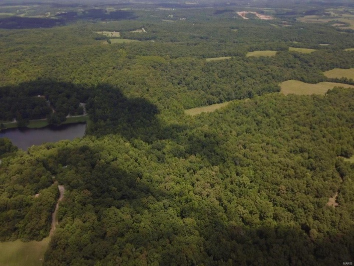 236 Cypress Lake Road, Burfordville, Missouri 63739, ,Farm,For Sale,Cypress Lake,MAR25002268