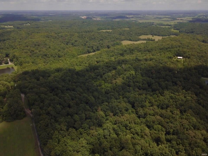 236 Cypress Lake Road, Burfordville, Missouri 63739, ,Farm,For Sale,Cypress Lake,MAR25002268