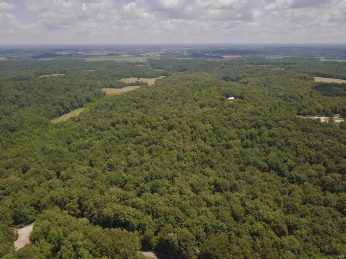 236 Cypress Lake Road, Burfordville, Missouri 63739, ,Farm,For Sale,Cypress Lake,MAR25002268