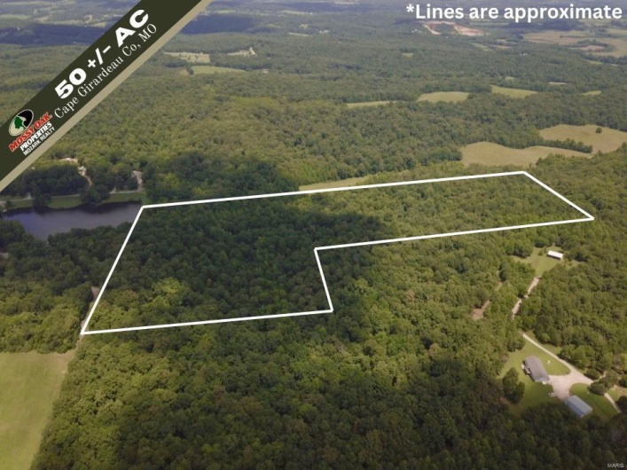 236 Cypress Lake Road, Burfordville, Missouri 63739, ,Farm,For Sale,Cypress Lake,MAR25002268