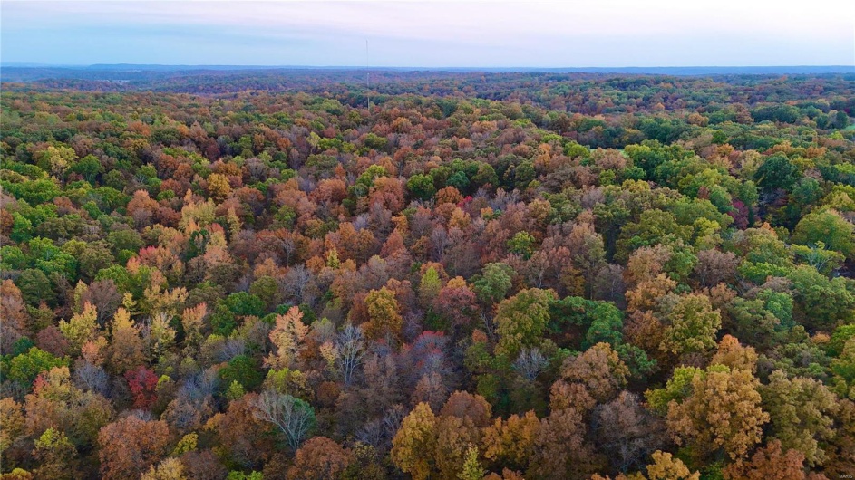 236 Cypress Lake Road, Burfordville, Missouri 63739, ,Farm,For Sale,Cypress Lake,MAR25002268