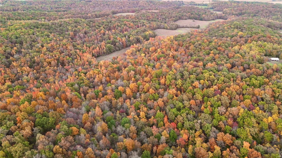 236 Cypress Lake Road, Burfordville, Missouri 63739, ,Farm,For Sale,Cypress Lake,MAR25002268