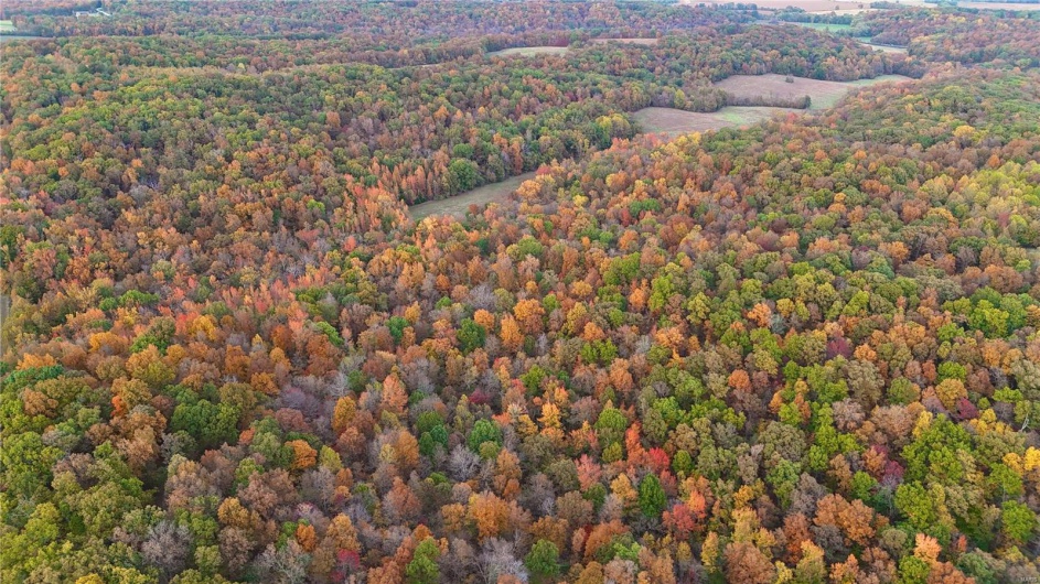 236 Cypress Lake Road, Burfordville, Missouri 63739, ,Farm,For Sale,Cypress Lake,MAR25002268