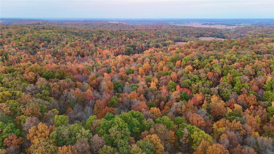 236 Cypress Lake Road, Burfordville, Missouri 63739, ,Farm,For Sale,Cypress Lake,MAR25002268