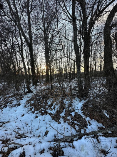 0 County Road 268, Neelyville, Missouri 63964, ,Land,For Sale,County Road 268,MAR25002501