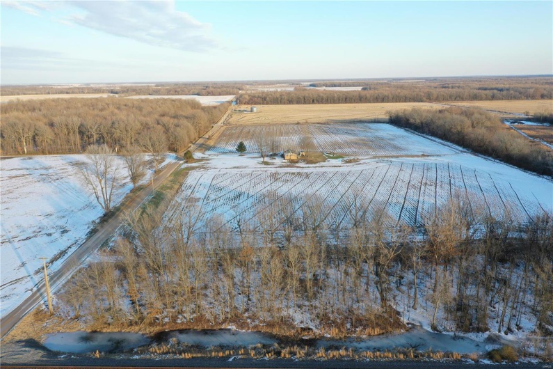 0 County Road 268, Neelyville, Missouri 63964, ,Land,For Sale,County Road 268,MAR25002501