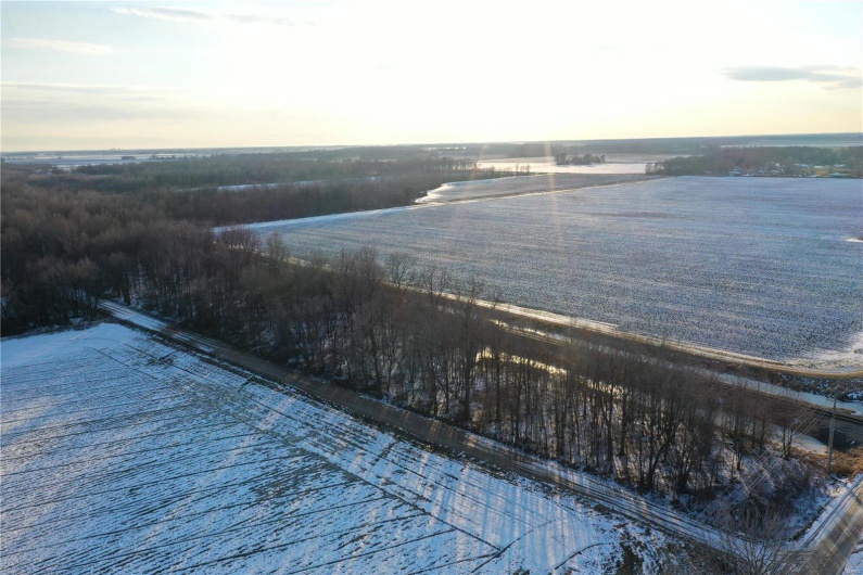 0 County Road 268, Neelyville, Missouri 63964, ,Land,For Sale,County Road 268,MAR25002501