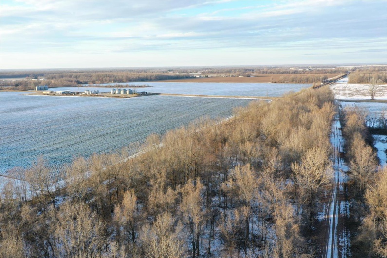 0 County Road 268, Neelyville, Missouri 63964, ,Land,For Sale,County Road 268,MAR25002501