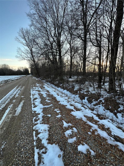 0 County Road 268, Neelyville, Missouri 63964, ,Land,For Sale,County Road 268,MAR25002501