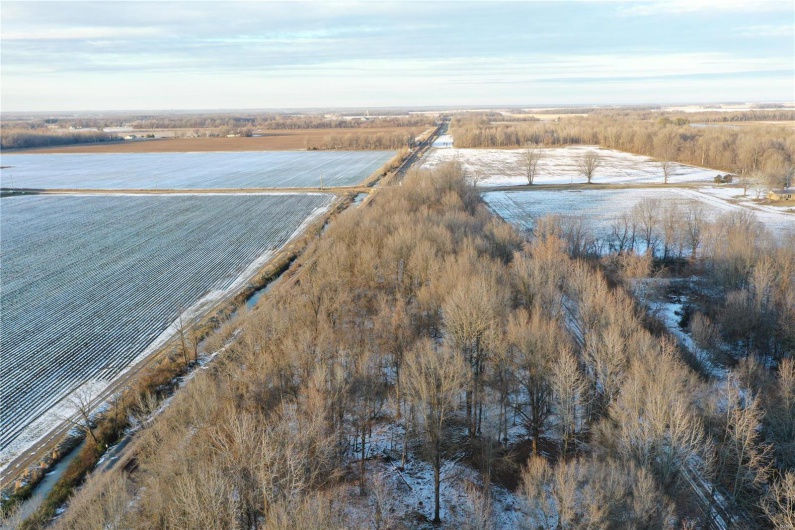 0 County Road 268, Neelyville, Missouri 63964, ,Land,For Sale,County Road 268,MAR25002501
