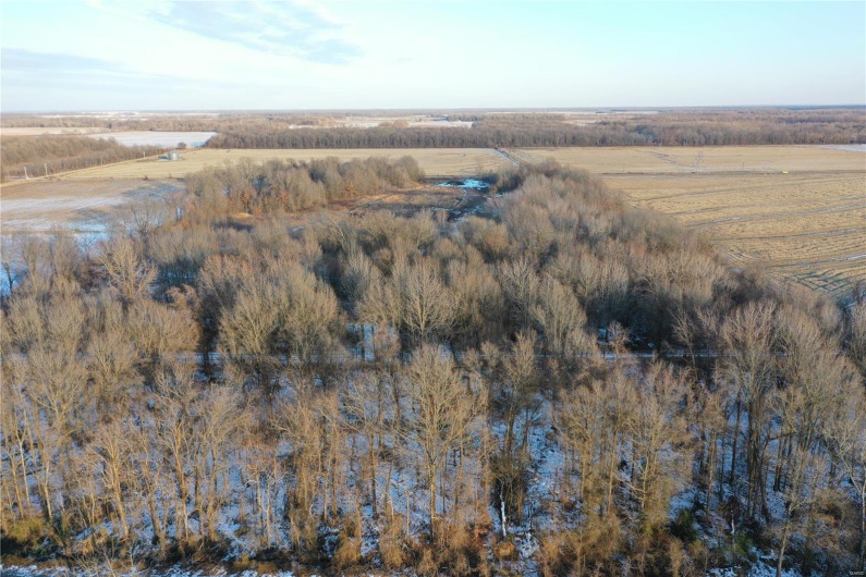 0 County Road 268, Neelyville, Missouri 63964, ,Land,For Sale,County Road 268,MAR25002501