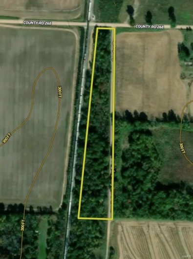 0 County Road 268, Neelyville, Missouri 63964, ,Land,For Sale,County Road 268,MAR25002501