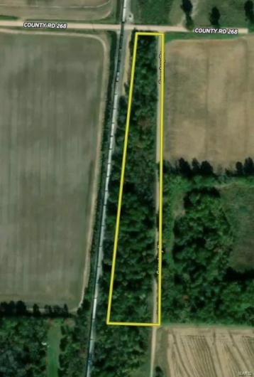 0 County Road 268, Neelyville, Missouri 63964, ,Land,For Sale,County Road 268,MAR25002501