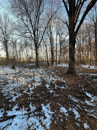 0 County Road 268, Neelyville, Missouri 63964, ,Land,For Sale,County Road 268,MAR25002501