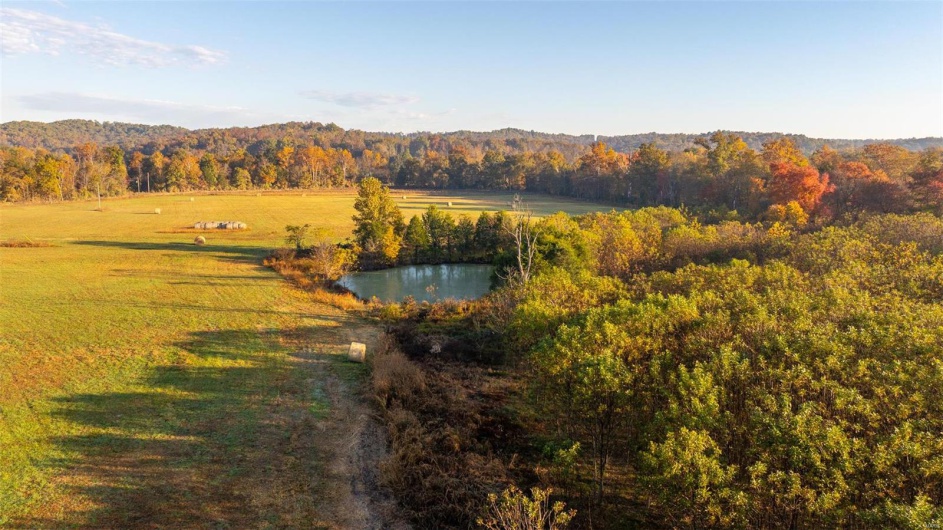 0 County Road 371 Unit A, Patterson, Missouri 63944, ,Farm,For Sale,County Road 371 Unit A,MAR25002601