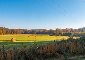0 County Road 371 Unit A, Patterson, Missouri 63944, ,Farm,For Sale,County Road 371 Unit A,MAR25002601