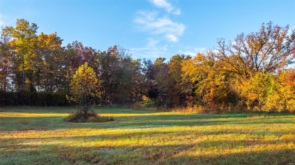 0 County Road 371 Unit A, Patterson, Missouri 63944, ,Farm,For Sale,County Road 371 Unit A,MAR25002601