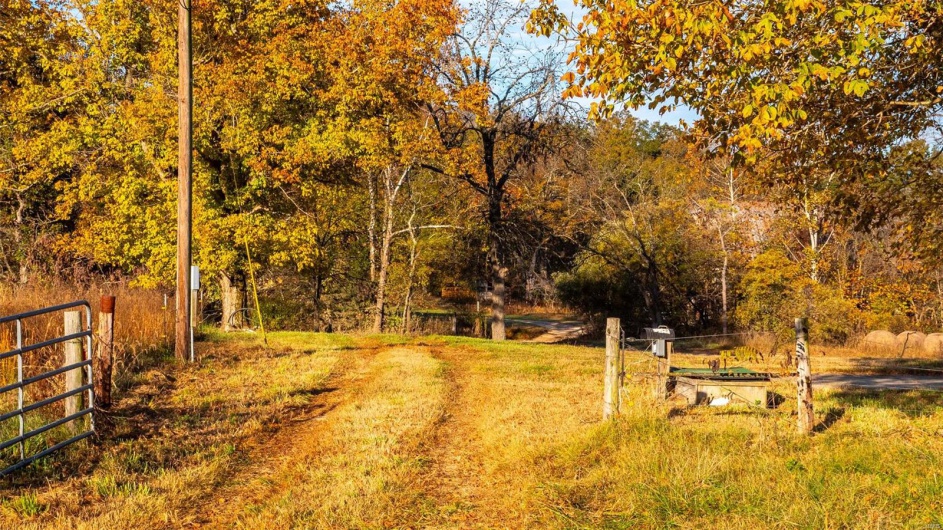 0 County Road 371 Unit A, Patterson, Missouri 63944, ,Farm,For Sale,County Road 371 Unit A,MAR25002601