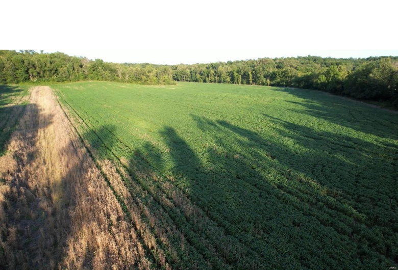 0 County Road 256, Advance, Missouri 63730, ,Farm,For Sale,County Road 256,MAR25002167