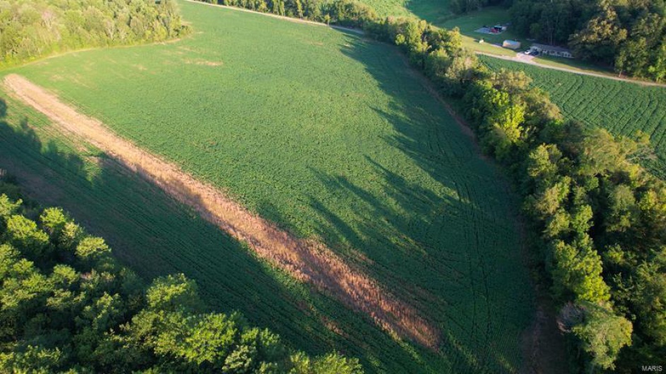 0 County Road 256, Advance, Missouri 63730, ,Farm,For Sale,County Road 256,MAR25002167