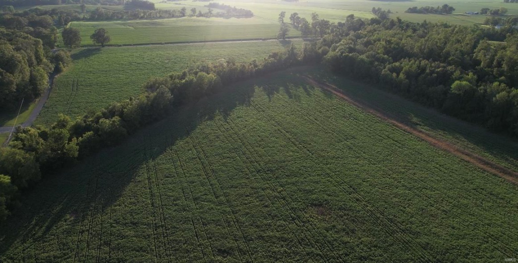 0 County Road 256, Advance, Missouri 63730, ,Farm,For Sale,County Road 256,MAR25002167