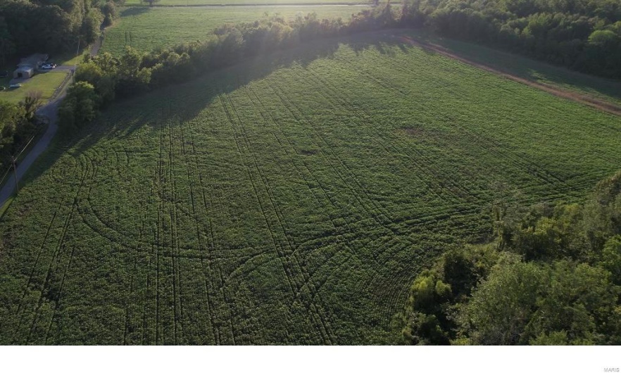 0 County Road 256, Advance, Missouri 63730, ,Farm,For Sale,County Road 256,MAR25002167