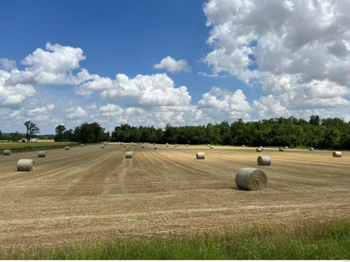 0 County Road 256, Advance, Missouri 63730, ,Farm,For Sale,County Road 256,MAR25002167