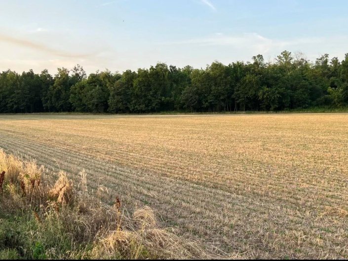 0 County Road 256, Advance, Missouri 63730, ,Farm,For Sale,County Road 256,MAR25002167
