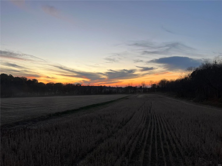 0 County Road 256, Advance, Missouri 63730, ,Farm,For Sale,County Road 256,MAR25002167