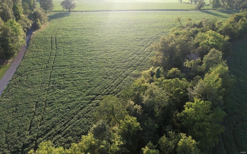 0 County Road 256, Advance, Missouri 63730, ,Farm,For Sale,County Road 256,MAR25002167