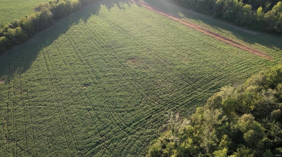 0 County Road 256, Advance, Missouri 63730, ,Farm,For Sale,County Road 256,MAR25002167