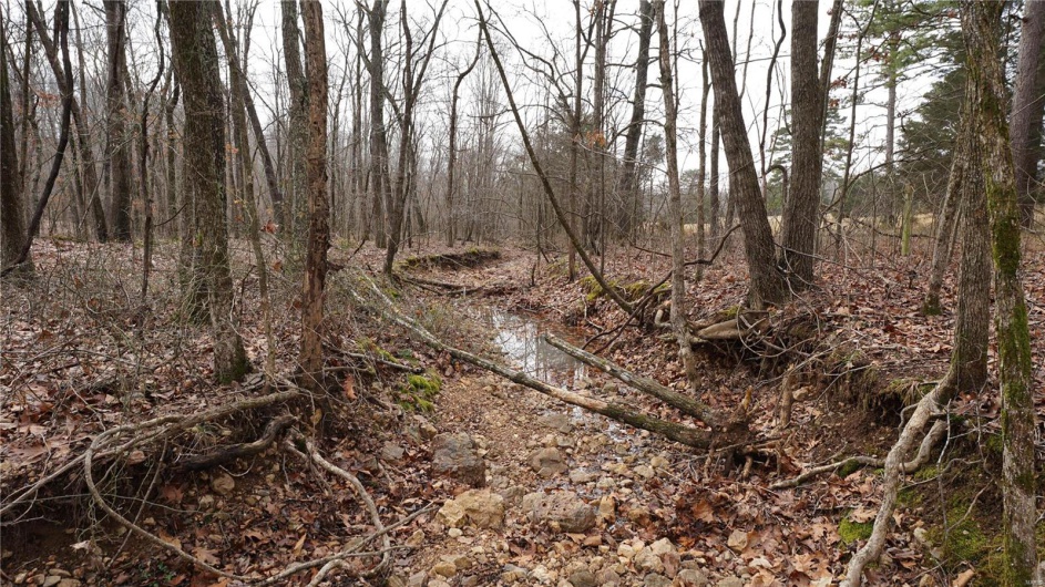 1 Wayne Route P, Lowndes, Missouri 63951, ,Farm,For Sale,Wayne Route P,MAR25002881