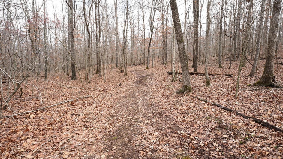 1 Wayne Route P, Lowndes, Missouri 63951, ,Farm,For Sale,Wayne Route P,MAR25002881