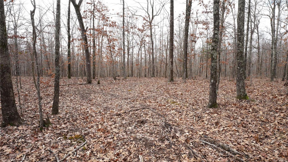 1 Wayne Route P, Lowndes, Missouri 63951, ,Farm,For Sale,Wayne Route P,MAR25002881